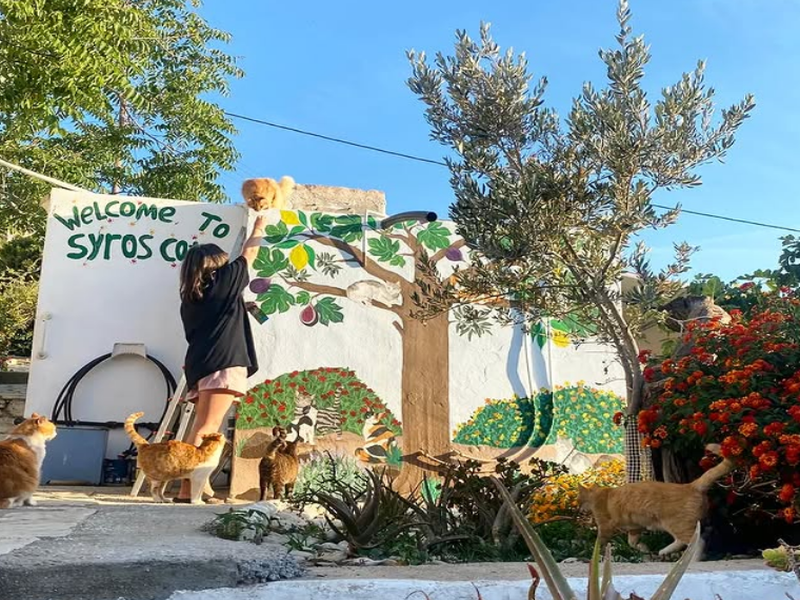 Сакате месец дена бесплатен одмор во Грција? Ова е условот што треба да го исполните