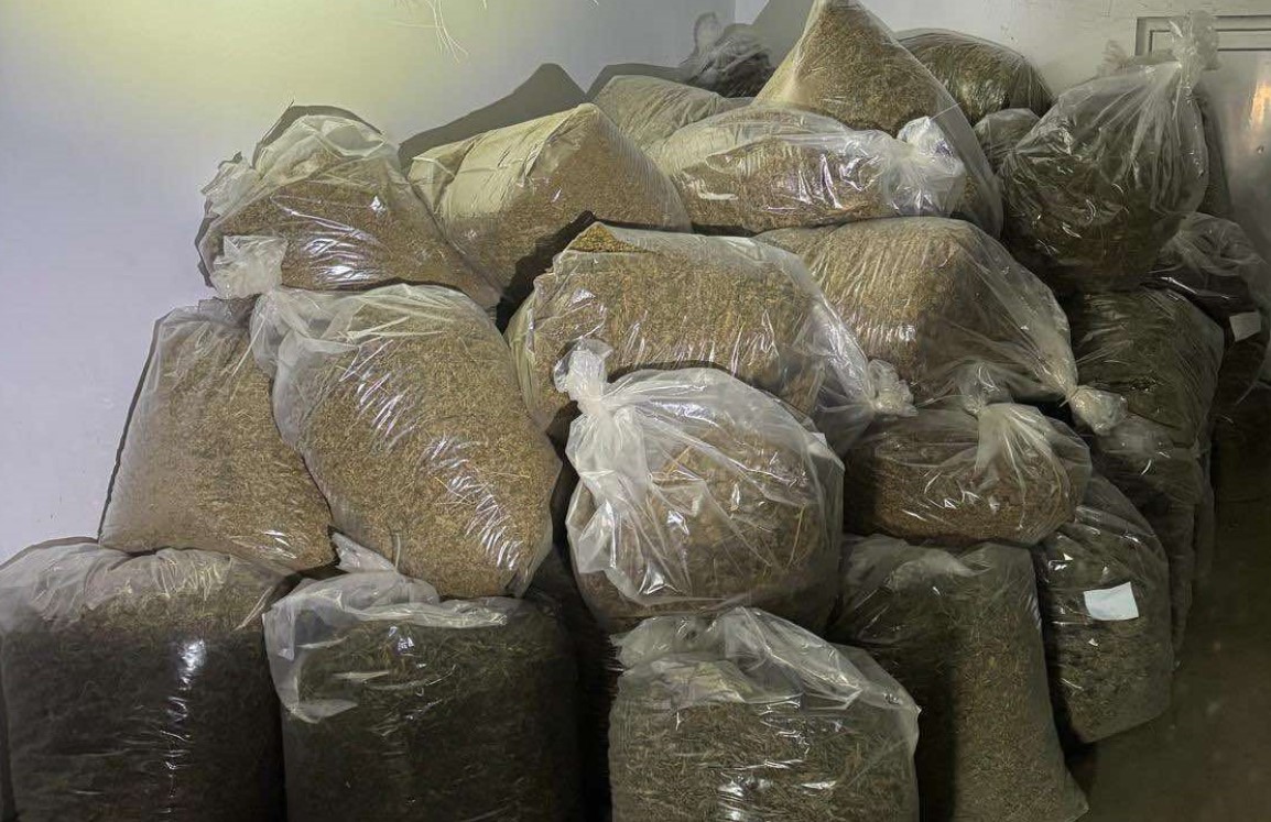 Владата им ги одзеде лиценците за канабис на шест фирми, меѓу кои и „Алфафам“, која беше замешана во шверцот на марихуана во Србија