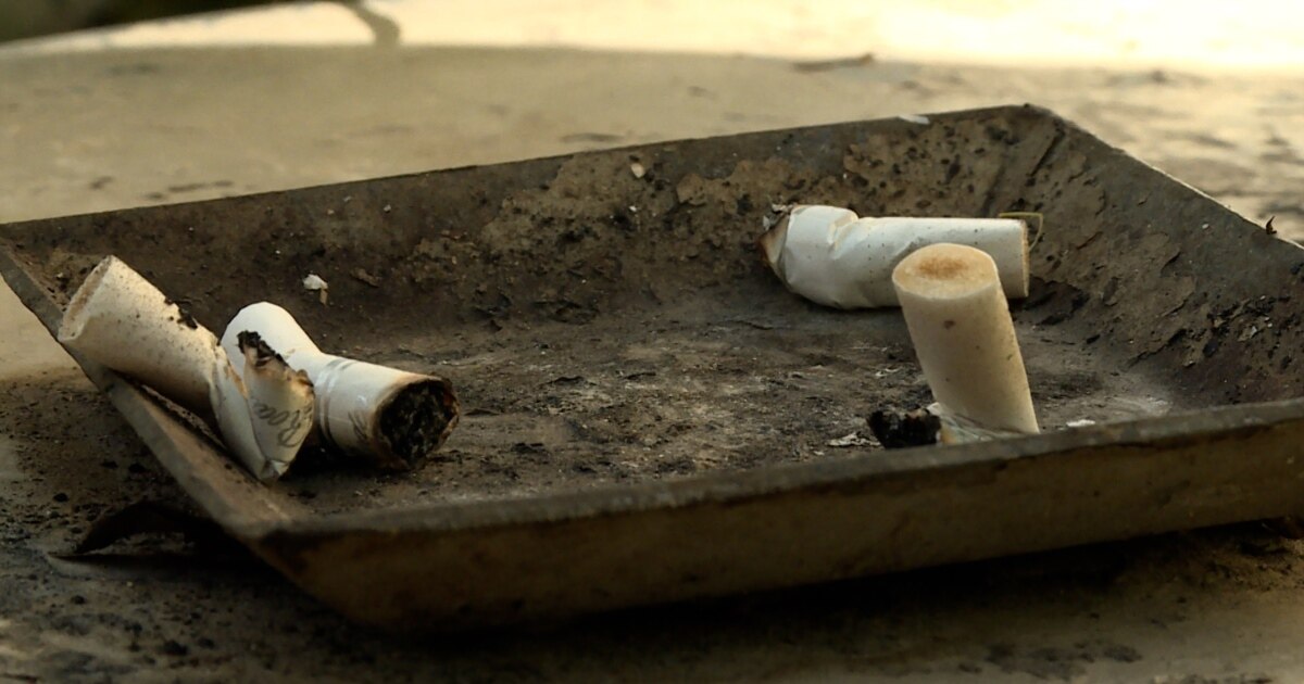 Ќе се одложи ли примената на Законот за заштита од пушење -профитот наспроти здравјето