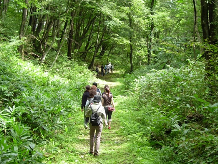 Се сеќавате дека парковите беа затворени во ковидот?