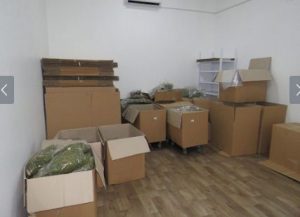 Мицкоски најавува нови апсења за марихуаната: Останаа уште неколку битанги кои ќе се најдат зад решетки