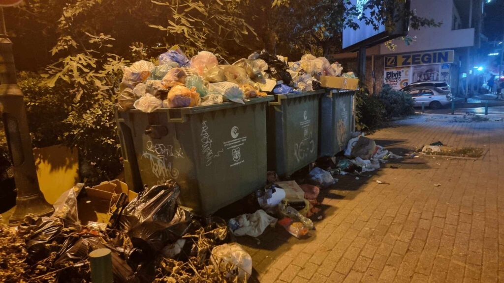 Ако го направите ова со вашиот отпад во Германија, ризикувате казна до 100.000 евра