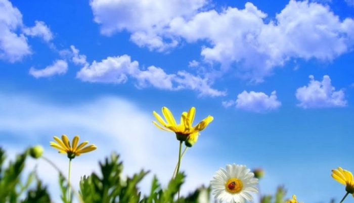 ЕВРОПА ОД ЗИМА ДИРЕКТНО ВО ЛЕТО: Во делови на Франција вчера се измерени температури до 30 Целзиусови степени