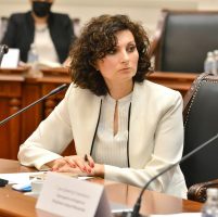 Сомнителни нови градби во Скопје, Билјана Ивановска: Агресија врз зелените површини, апетитите за високи профити се во пораст