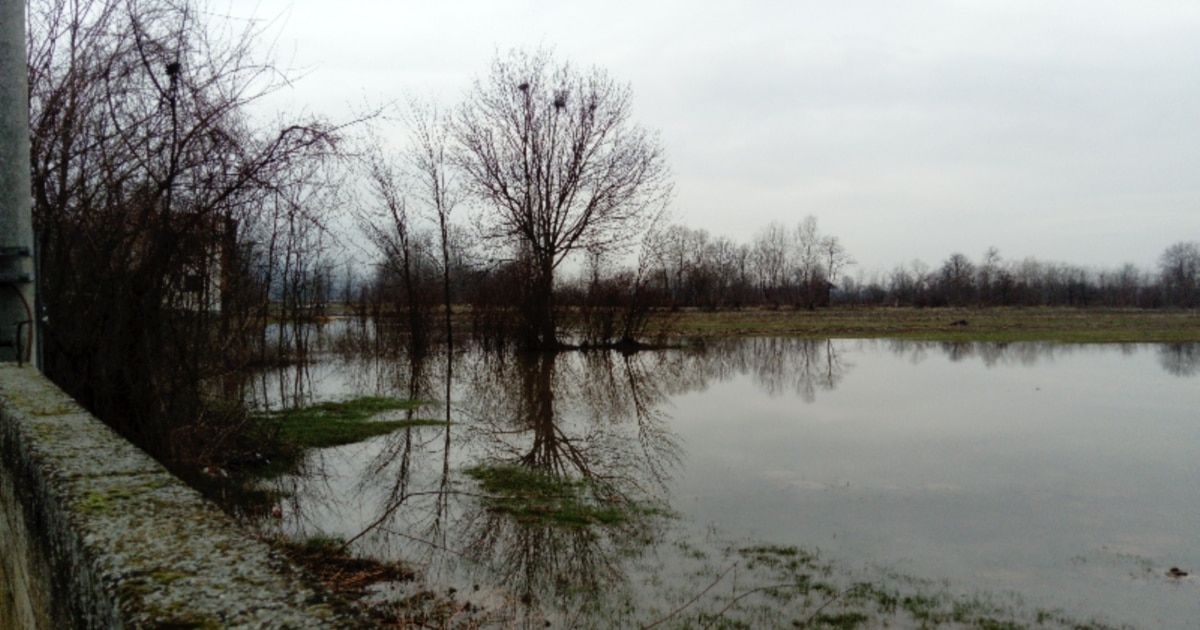 Евакуирани 180 жители на Кичево поради излевање на река