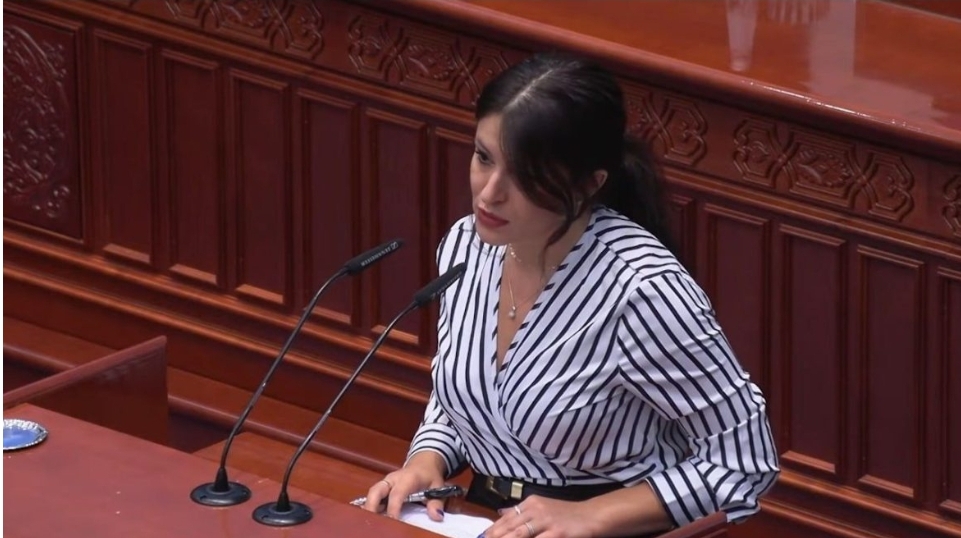 Мојсоска: Кои институции „не го виделе” копањето и машините во самиот извор кој ја снабдува цела општина Струга со вода?