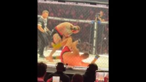 Хаос на Клеш ММА 15 по ужасно гризнување на уво