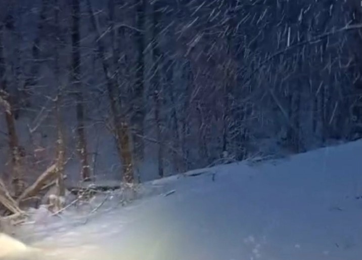 Снегот прави проблеми во Словенија, без струја 35.000 граѓани