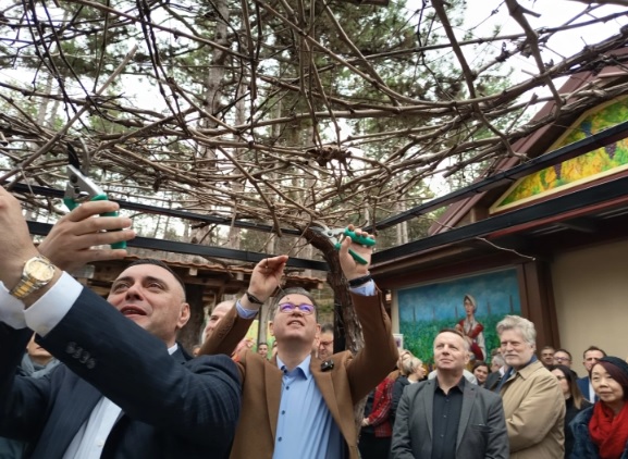 Трипуновски: Нема кратење на субвенции, но приоритет ќе добијат вистинските земјоделци