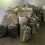 Се проверува меѓународна поврзаност во случајот со 40 тони марихуана откриена во Србија