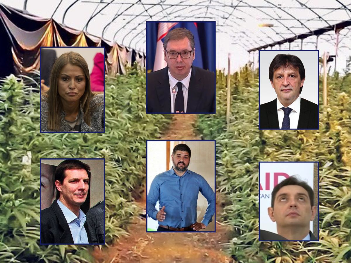 Банкрот на нарко-картелот на Александар Вучиќ: Напредњачката мафија изгуби две и пол милијарди евра во последната година