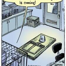 Жижек, Чомски, Фројд, Лакан, Дипи, досиејата на Епстин и длабоката држава