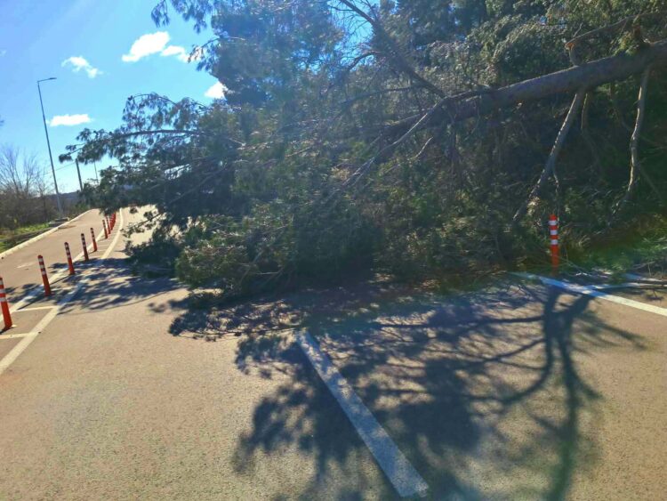 Соопштение за граѓаните: Пријавување на материјални штети од силните налети на ветер во Општина Гевгелија