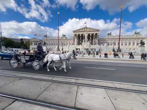 Препораки од Виенскиот институт за земјите од регионот