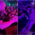 (Видео) Скандал на сцена! Десингерица донесе живо јагне среде настап, кутрото животно сакало да избега