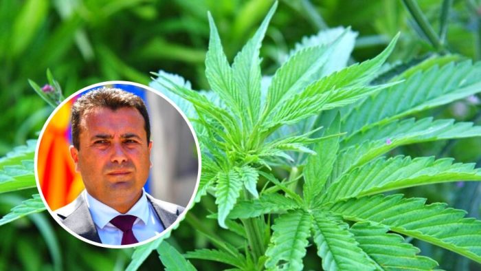 ЗАЕВ БАРА ЈАВНО ИЗВИНУВАЊЕ: Лага е дека сум на кој било начин поврзан со случаите со марихуана што беа објавени во јавноста