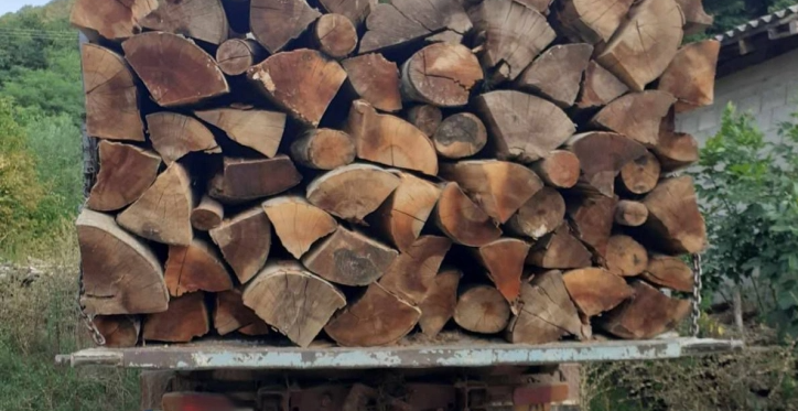 Кривична пријава против пет лица, со фалсификувана исправа организирале сеча и транспорт на дрвна маса од државни парцели
