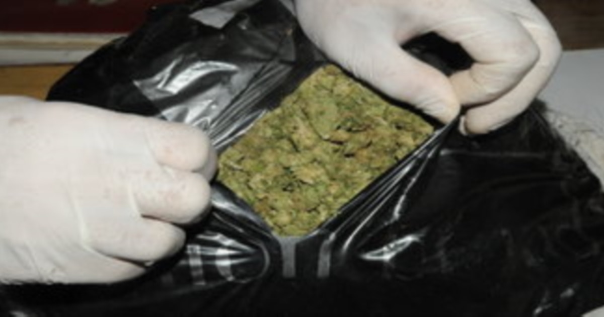 Проверка на сите фирми за канабис, се уште трае истрагата за шверц во Србија