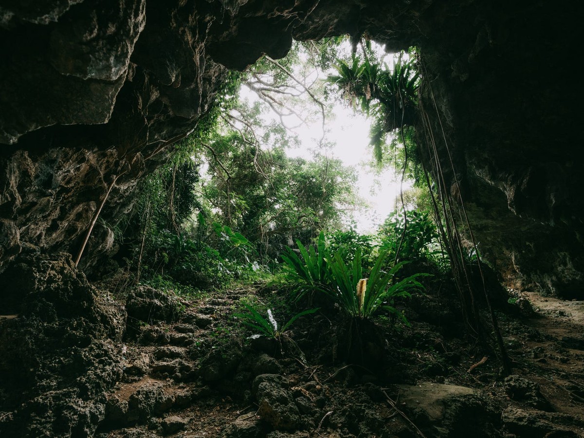 Во длабочините на островска пештера откриени остатоци од изумрен свет стар милион години