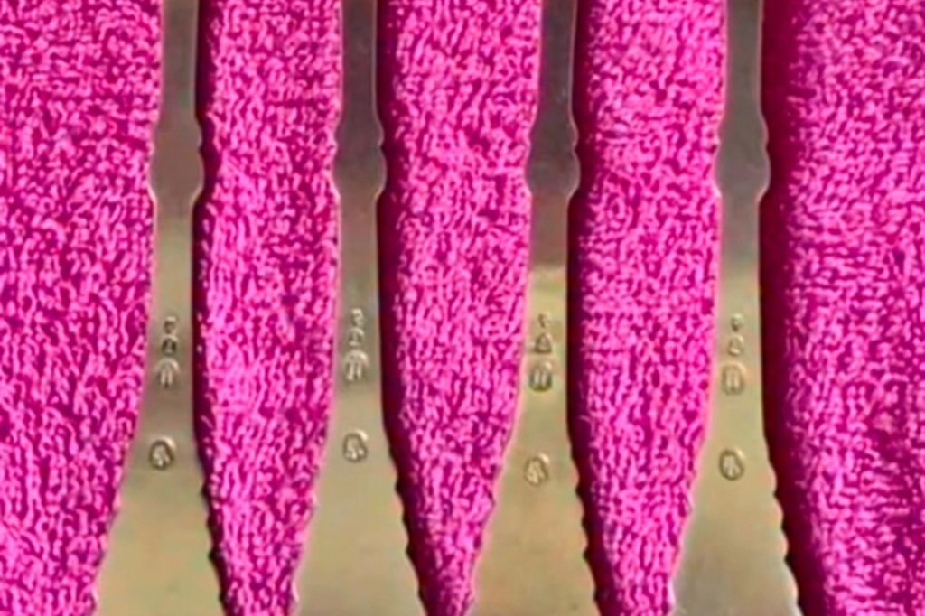 Оптичка илузија ги збунува луѓето: „Како не го гледате ова?“