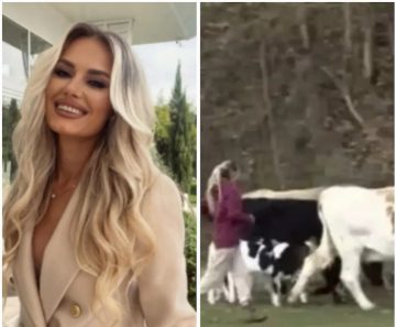 УАПСЕНА МИС КРАВАРКА: Спречувала вработени во АХВ да ги соберат кравите