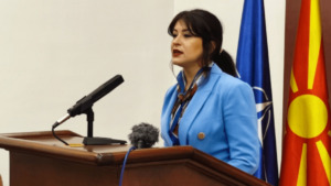 Мојсоска: Кој „не ги виде“ машините во изворот што ја снабдува Струга со вода?