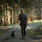 Медитација при пешачење  како идеална релаксација од стрес