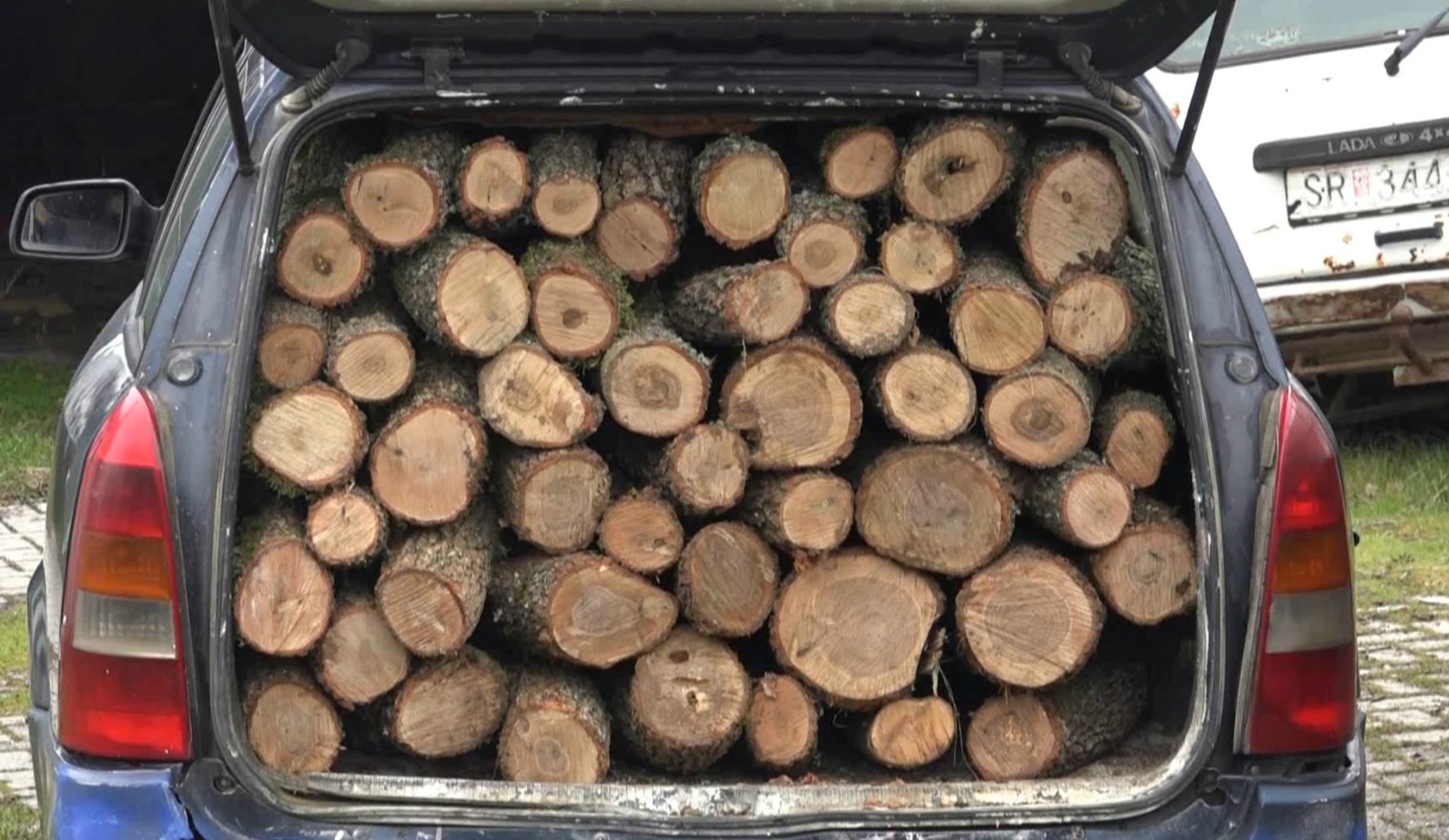 Од почетокот на годината во струмичко радовишкиот регион откриени над 20 случаи на дрвокрадство