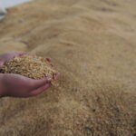 Зошто светот повторно се врти  кон сопствено производство на храна?