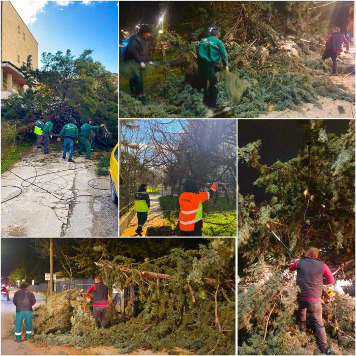 ЃОРЃИЕВСКИ: Екипите се на терен, се расчистуваат паднатите дрвја по засилениот ветер за непречено функционирање на градот