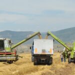 На македонското мени месо од Бразил, сирење од Германија и грав од Киргистан