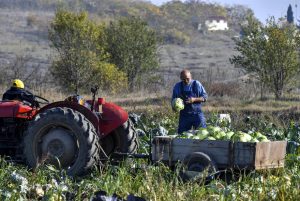 Левицата: Радикално кратење на земјоделските субвенции