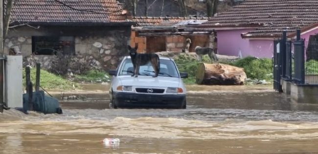 ЕВАКУИРАНИ 220 ЛИЦА ПО ПОПЛАВИТЕ ВО КИЧЕВО, СМЕСТЕНИ СЕ ВО СПОРТСКАТА САЛА