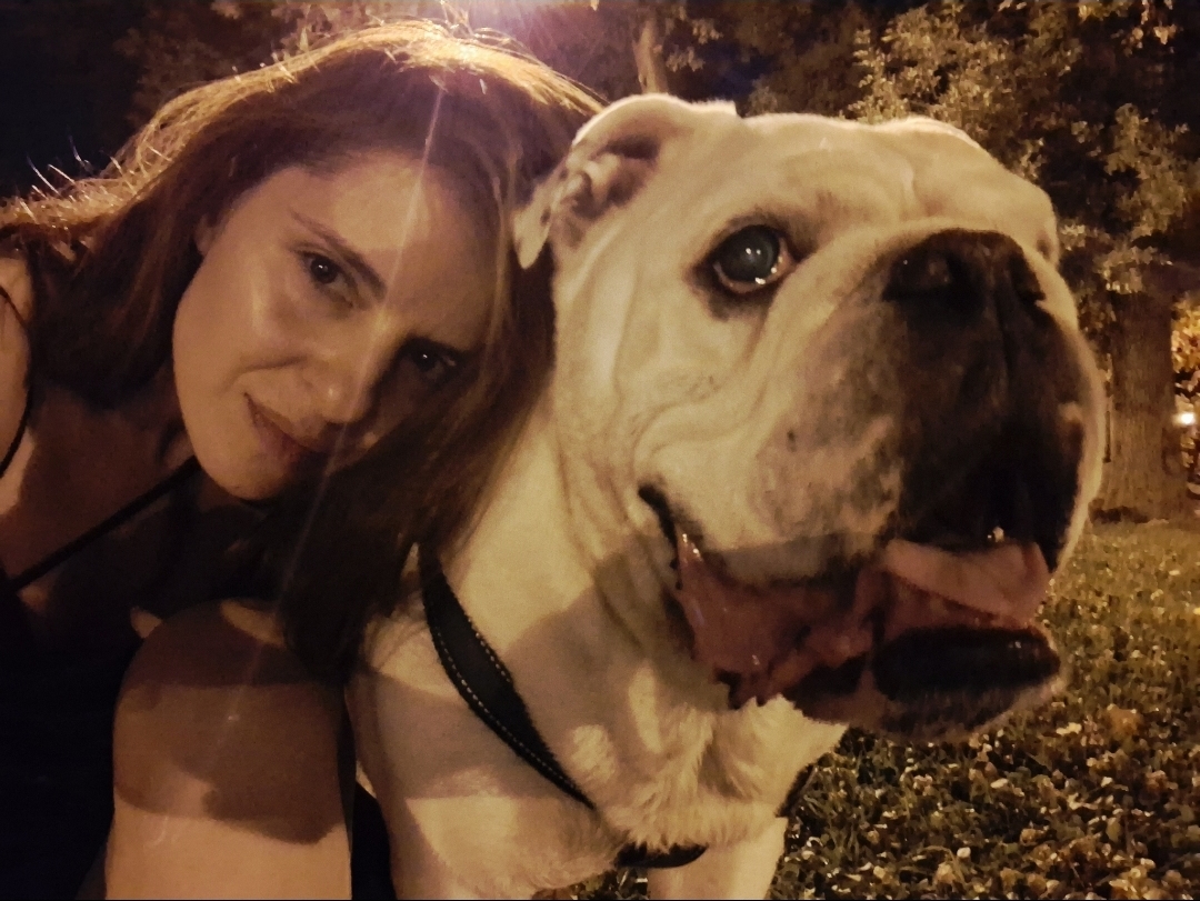 Сигурен или (стресен и контролиран) град. Или „за кучето кое во други околности ќе го убиеја