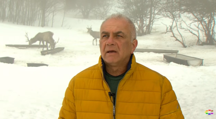 Од 30 до 200 елени во Галичица благодарение на Репродуктивниот центар