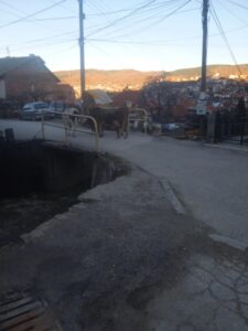 Градоначалникот на Крива Паланка да не се амнестира од проблемот со кравите, реагира АХВ