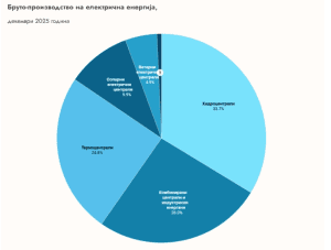 Во декември 78,4% од потрошената струја од домашни извори