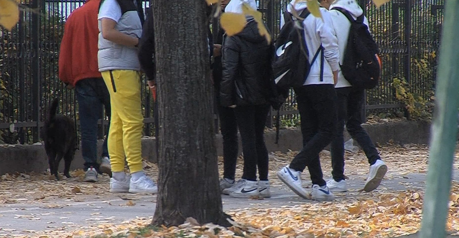 Секое седмо дете во Македонија пуши цигари и слободно ги купува во продавница