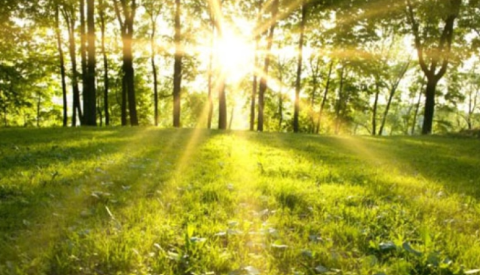 Сончево и стабилно време до почетокот на следната седмица