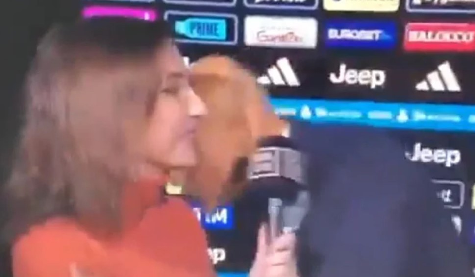 Спалети е хит: Бакна новинарка за да објасни дека не е задоволен од судењето (ВИДЕО)