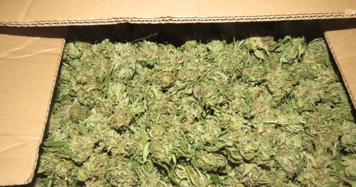 Шверц под превез на медицината – игри во бизнисот со канабис