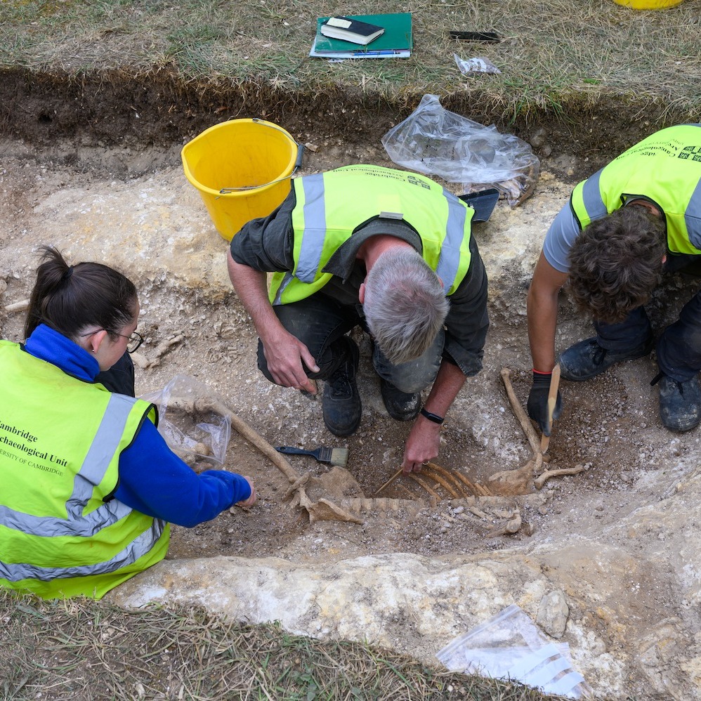 Откритие што ги вознемири археолозите: Млади мажи фрлани во гробна јама по егзекуција или битка