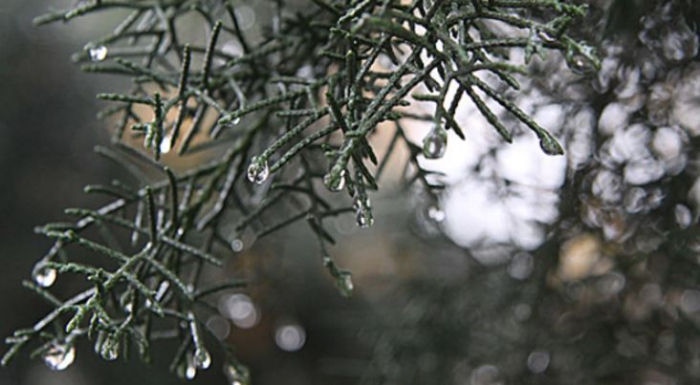 Врнежи од дожд во низините, снег на планините