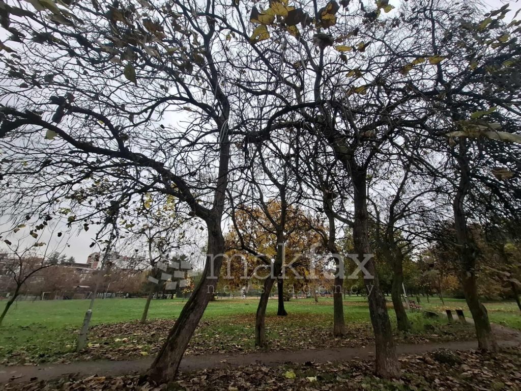 Утре променливо облачно време со температура до 11 степени