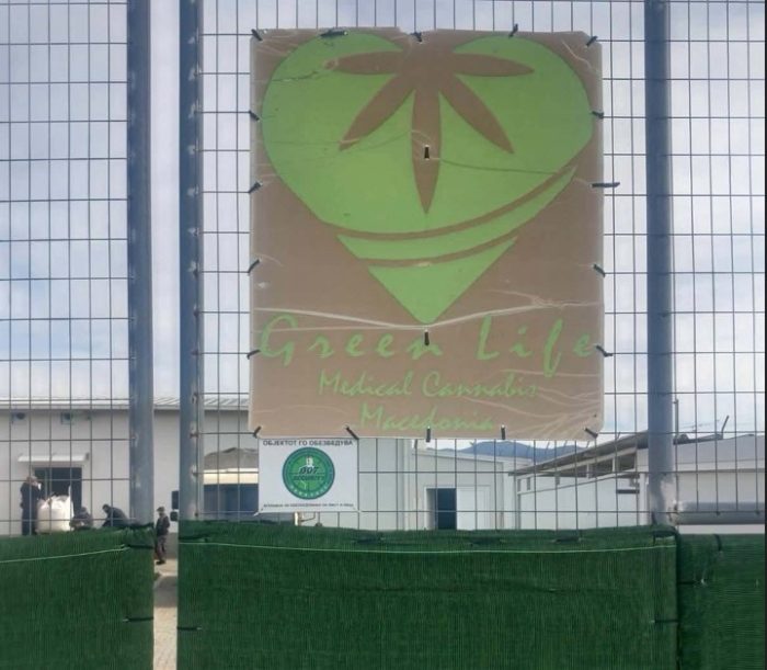 (ФОТО) Одземен еден тон марихуана од Green life – Валандово