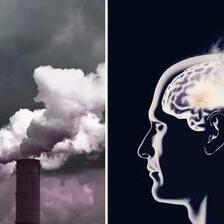 Загадувањето на воздухот го зголемува ризикот од развој на Алцхајмерова болест