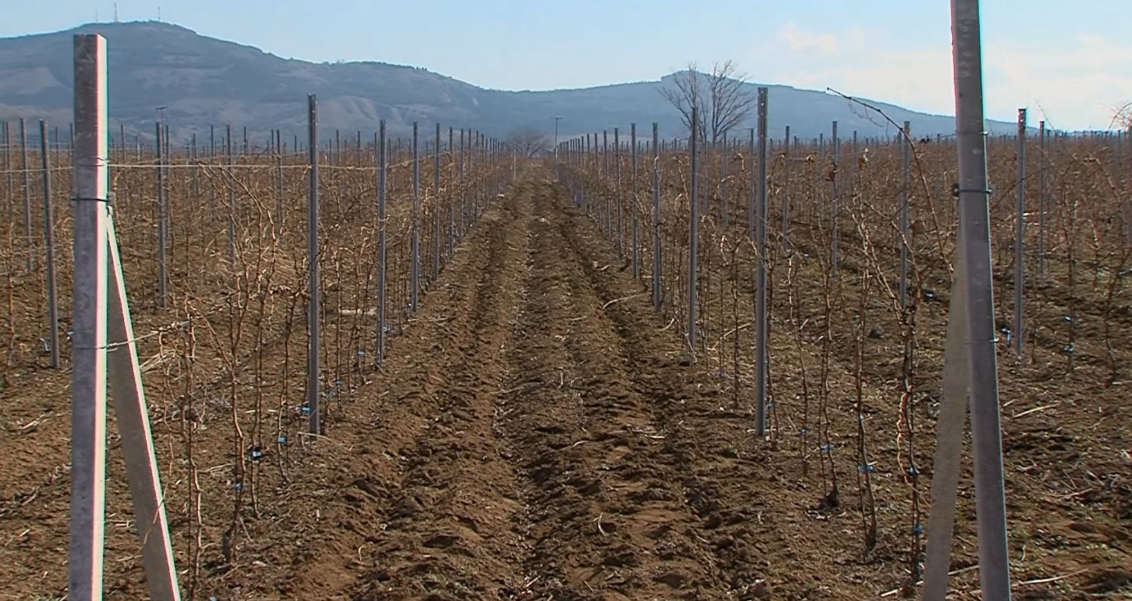 Партиски обвинувања: Чија Влада доделувала поголеми субвенции?