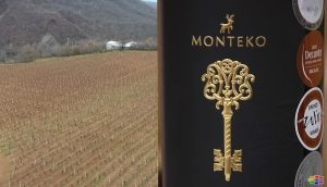 Одбележување Св. Трифун и закројување на лозјата во винаријата „Монтеко“ во Кратово