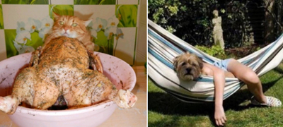 12 фотки направени во „вистински“ момент – Ќе ги протриете очите за да сфатите што гледате