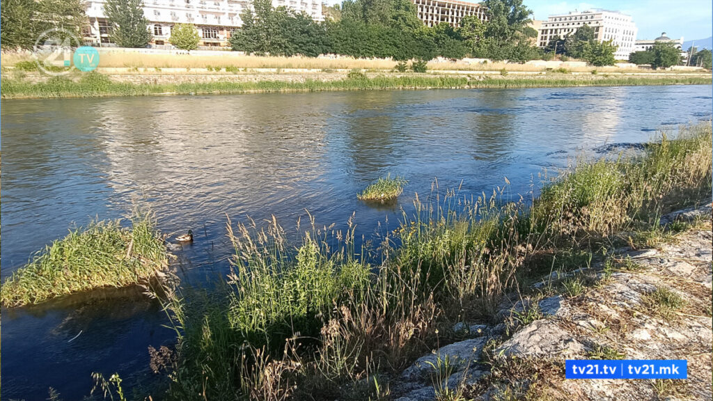 Од реката Вардар извлечено тело на 50-годишна скопјанка